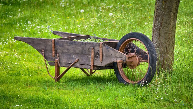 Have some fun and enjoy on biggest wheel cart