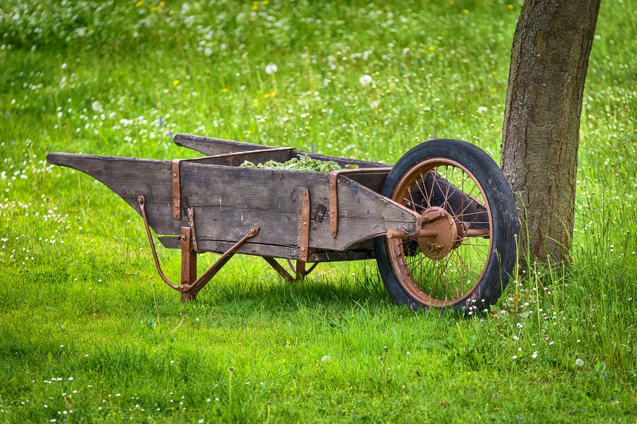 Have some fun and enjoy on biggest wheel cart